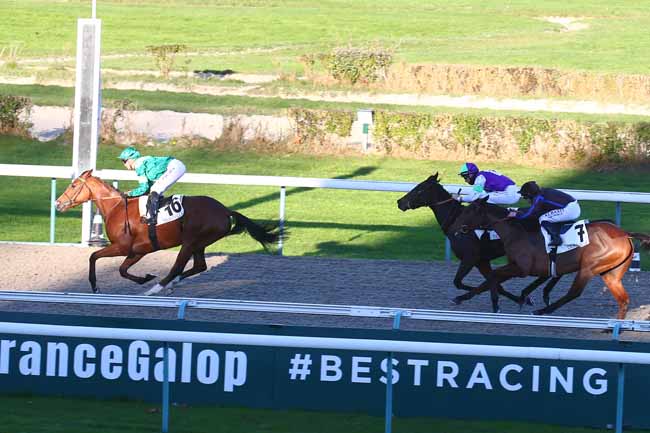 Photo d'arrivée de la course pmu PRIX DE LA ROCQUE à DEAUVILLE le Mardi 23 novembre 2021