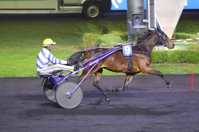 Photo d'arrivée de la course pmu PRIX POLYXO à PARIS-VINCENNES le Mardi 23 novembre 2021