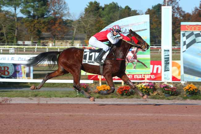 Photo d'arrivée de la course pmu PRIX DU PMU 