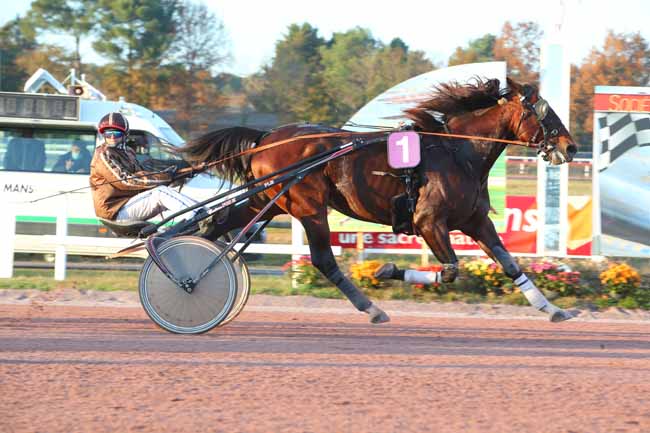 Photo d'arrivée de la course pmu PRIX SALESKY TRANSPORTS à LE MANS le Mercredi 24 novembre 2021