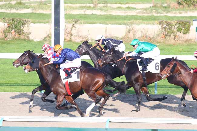 Photo d'arrivée de la course pmu PRIX DE LA POMMERAIE à DEAUVILLE le Mercredi 24 novembre 2021