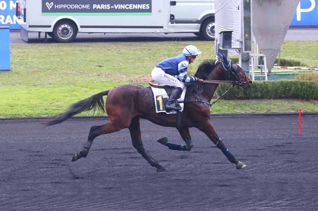 Photo d'arrivée de la course pmu PRIX DE MEYSSAC à PARIS-VINCENNES le Jeudi 25 novembre 2021
