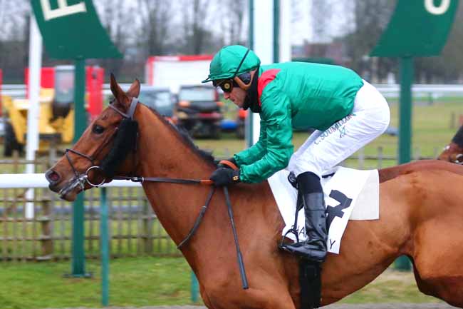 Photo d'arrivée de la course pmu PRIX DE LA CHAMBRE DU DUC à CHANTILLY le Samedi 27 novembre 2021