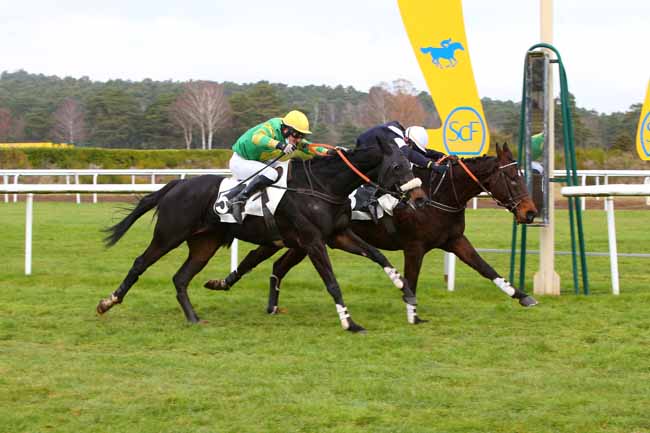 Photo d'arrivée de la course pmu PRIX COLONEL BEAUJEAN à FONTAINEBLEAU le Lundi 29 novembre 2021