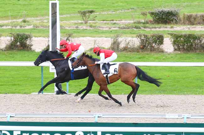 Photo d'arrivée de la course pmu PRIX D'UTAH BEACH à DEAUVILLE le Mardi 30 novembre 2021