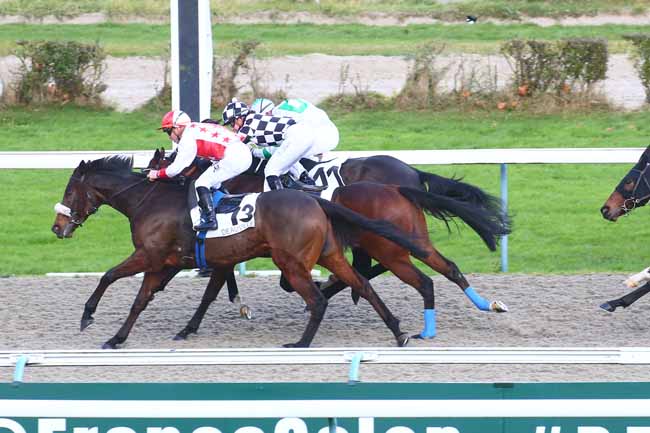 Photo d'arrivée de la course pmu PRIX DU MANOIR DU LIEU CALICE à DEAUVILLE le Mercredi 1 décembre 2021