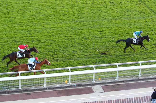 Photo d'arrivée de la course pmu PRIX CHALET à AUTEUIL le Jeudi 2 décembre 2021