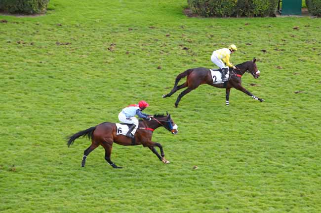 Photo d'arrivée de la course pmu PRIX LE PONTET à AUTEUIL le Jeudi 2 décembre 2021