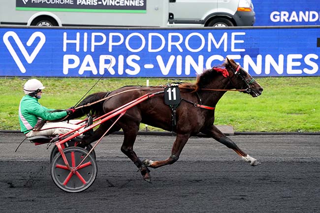 Photo d'arrivée de la course pmu PRIX DES ALPES à PARIS-VINCENNES le Lundi 6 décembre 2021
