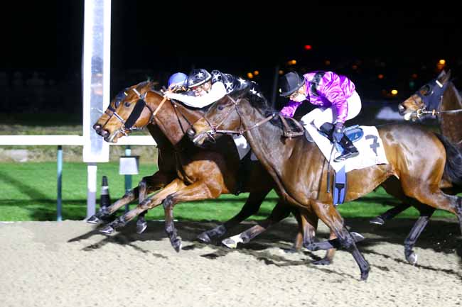Photo d'arrivée de la course pmu PRIX TRANSMO ANYTHING/ANYWHERE/ANYTIME MAIDEN à LAUNCESTON le Mercredi 8 décembre 2021