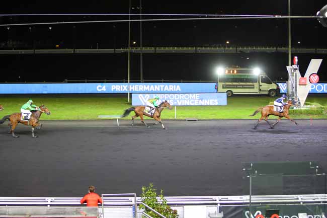 Photo d'arrivée de la course pmu PRIX HERMANTARIA à PARIS-VINCENNES le Vendredi 10 décembre 2021