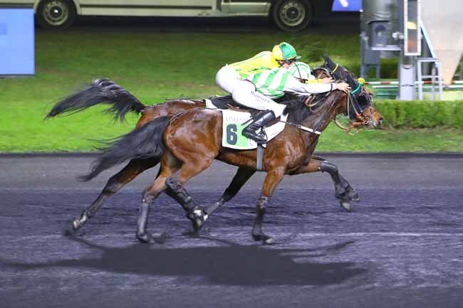 Photo d'arrivée de la course pmu PRIX HILDA à PARIS-VINCENNES le Vendredi 10 décembre 2021