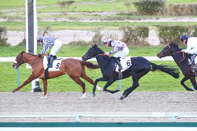 Photo d'arrivée de la course pmu PRIX DU ZENITH D'AMIENS à DEAUVILLE le Vendredi 10 décembre 2021