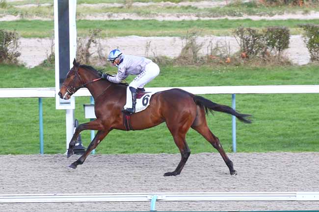 Photo d'arrivée de la course pmu PRIX DE LA GAGNERIE à DEAUVILLE le Vendredi 10 décembre 2021