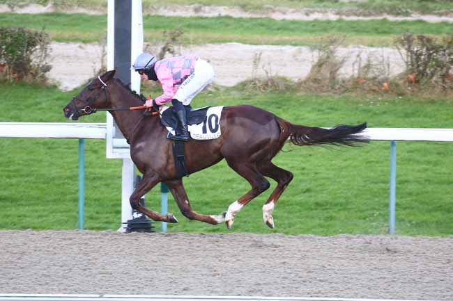Photo d'arrivée de la course pmu PRIX DU GRAND CHESNAY à DEAUVILLE le Vendredi 10 décembre 2021