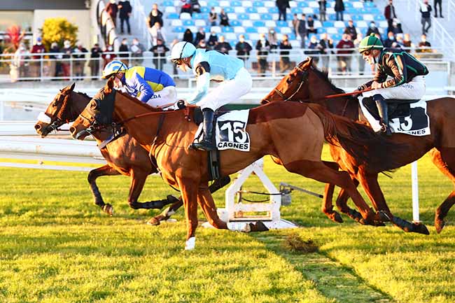 Photo d'arrivée de la course pmu PRIX HENRI VERAN à CAGNES-SUR-MER le Lundi 13 décembre 2021