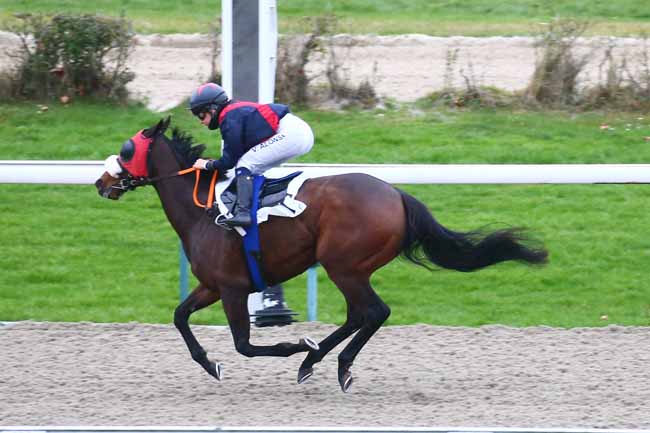 Photo d'arrivée de la course pmu PRIX DU DOMFRONTAIS à DEAUVILLE le Jeudi 16 décembre 2021