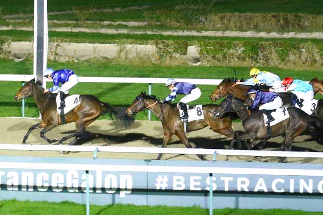Photo d'arrivée de la course pmu PRIX DE CHEFFRETEAU à DEAUVILLE le Vendredi 17 décembre 2021