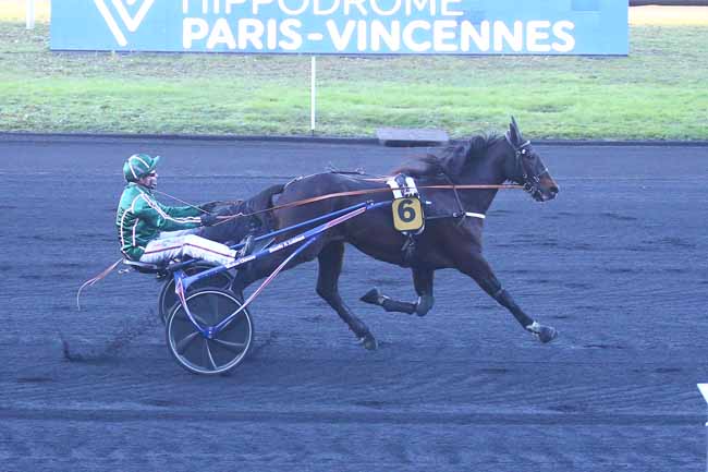 Photo d'arrivée de la course pmu PRIX DE COGOLIN à PARIS-VINCENNES le Samedi 18 décembre 2021