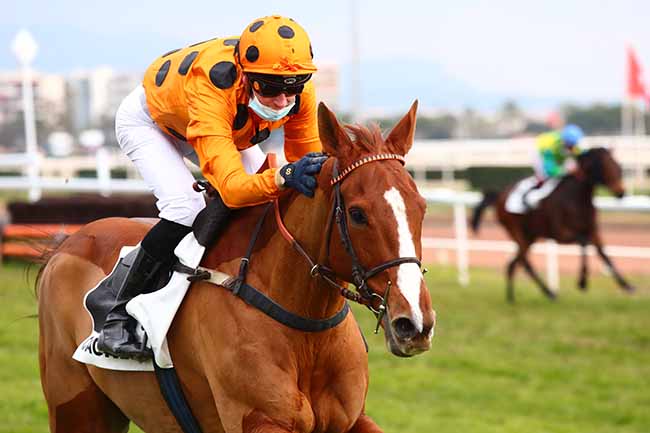 Photo d'arrivée de la course pmu PRIX DU BREIL à CAGNES-SUR-MER le Mardi 21 décembre 2021