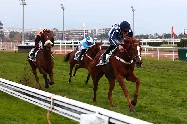 Photo d'arrivée de la course pmu PRIX DE CARDIFF à CAGNES-SUR-MER le Mardi 21 décembre 2021
