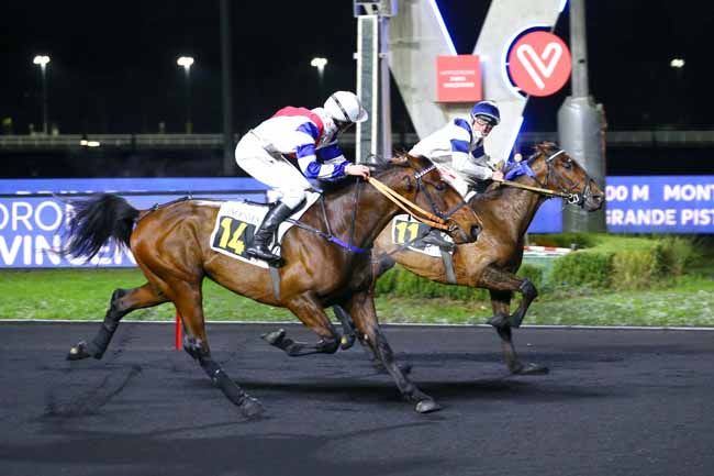 Photo d'arrivée de la course pmu PRIX DE COURTEILLES à PARIS-VINCENNES le Mardi 21 décembre 2021