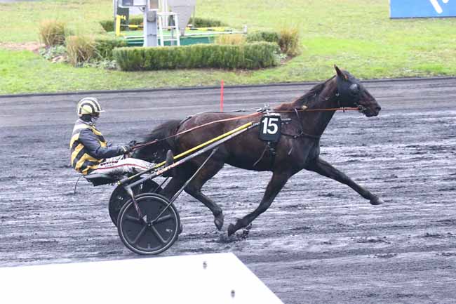 Photo d'arrivée de la course pmu PRIX DE PARTHENAY à PARIS-VINCENNES le Vendredi 24 décembre 2021