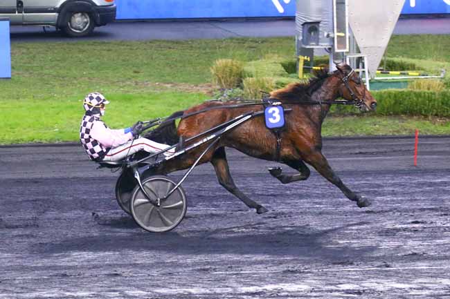 Photo d'arrivée de la course pmu PRIX DE LUYNES à PARIS-VINCENNES le Vendredi 24 décembre 2021
