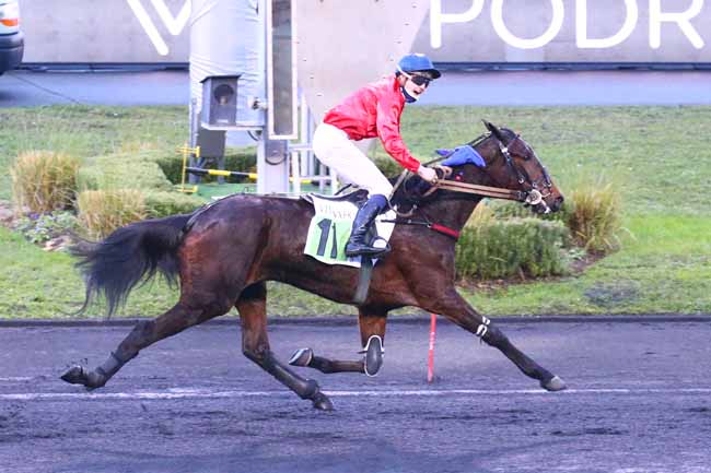 Photo d'arrivée de la course pmu PRIX DE VINCENNES à PARIS-VINCENNES le Dimanche 26 décembre 2021
