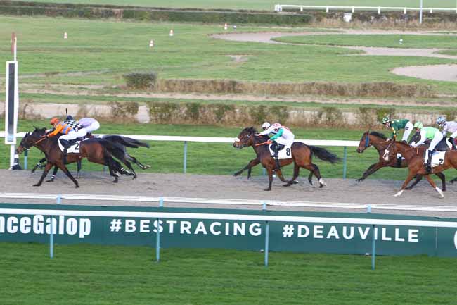 Photo d'arrivée de la course pmu PRIX DE PENNEDEPIE à DEAUVILLE le Lundi 27 décembre 2021