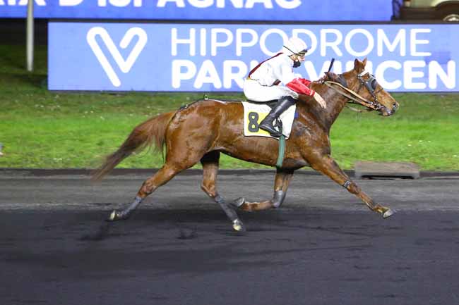 Photo d'arrivée de la course pmu PRIX D'ISPAGNAC à PARIS-VINCENNES le Mardi 28 décembre 2021