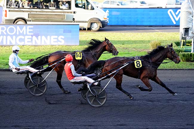 Photo d'arrivée de la course pmu PRIX DE TOURNON à PARIS-VINCENNES le Samedi 1 janvier 2022