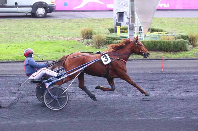 Photo d'arrivée de la course pmu PRIX GRAS SAVOYE WILLIS TOWERS WATSON à PARIS-VINCENNES le Dimanche 2 janvier 2022