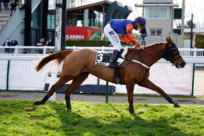 Photo d'arrivée de la course pmu PRIX BERNARD DE DUFAU à PAU le Lundi 3 janvier 2022
