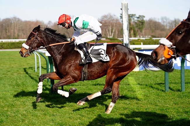 Photo d'arrivée de la course pmu PRIX HARAS DU LION - ETALON GEMIX (PRIX PIERRE ESTREM REY) à PAU le Lundi 3 janvier 2022