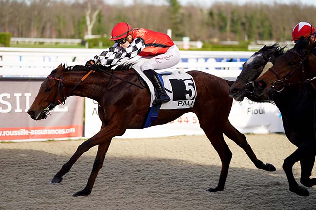 Photo d'arrivée de la course pmu PRIX DE MADIRAN à PAU le Lundi 3 janvier 2022