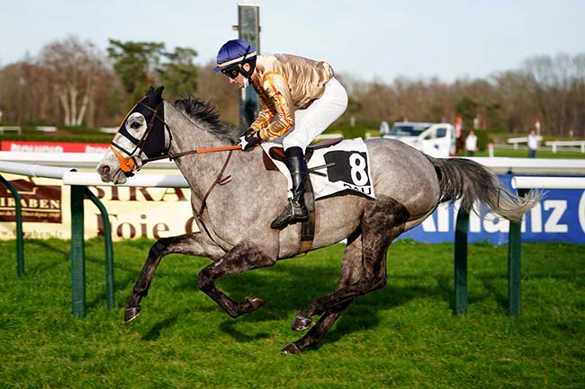 Photo d'arrivée de la course pmu PRIX PAUL LARREGAIN à PAU le Lundi 3 janvier 2022