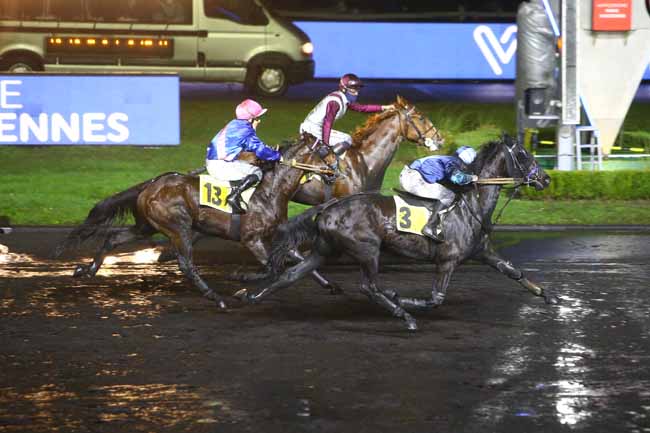 Photo d'arrivée de la course pmu PRIX DE GRETZ à PARIS-VINCENNES le Lundi 3 janvier 2022