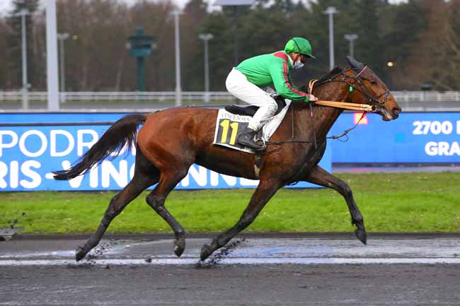 Photo d'arrivée de la course pmu PRIX EMILE RIOTTEAU à PARIS-VINCENNES le Samedi 8 janvier 2022