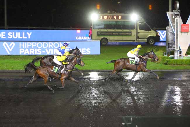 Photo d'arrivée de la course pmu PRIX DE SULLY à PARIS-VINCENNES le Samedi 8 janvier 2022