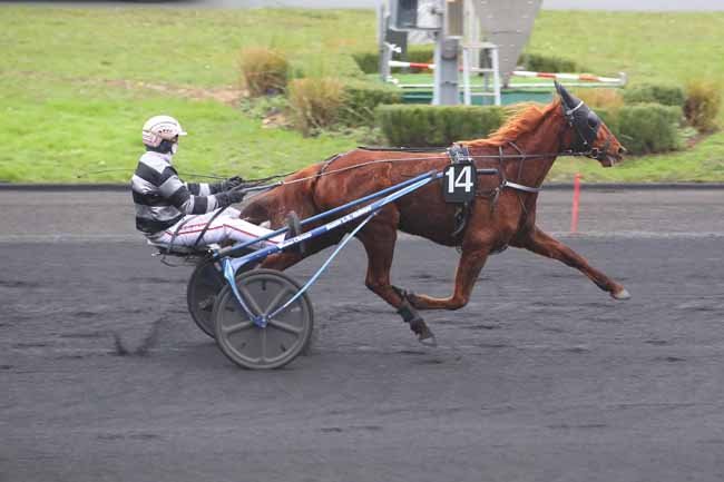 Photo d'arrivée de la course pmu PRIX DE DOUAI à PARIS-VINCENNES le Lundi 10 janvier 2022