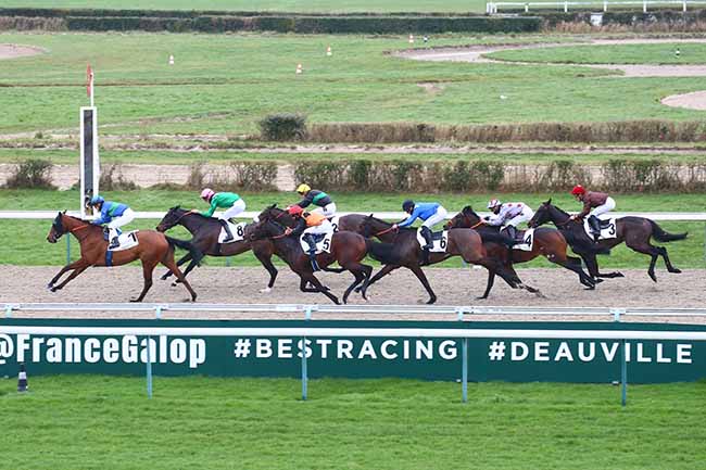Photo d'arrivée de la course pmu PRIX DE RABODANGES à DEAUVILLE le Mercredi 12 janvier 2022