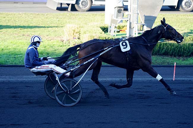 Photo d'arrivée de la course pmu PRIX DU FOREZ à PARIS-VINCENNES le Samedi 15 janvier 2022