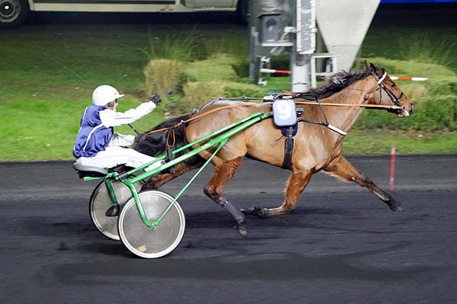 Photo d'arrivée de la course pmu PRIX DE SAINT-FLOUR à PARIS-VINCENNES le Samedi 15 janvier 2022