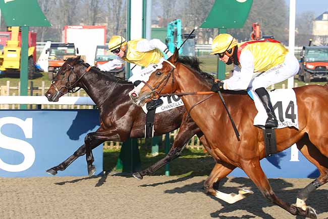 Photo d'arrivée de la course pmu PRIX DU CARREFOUR DU CLOS DE LA BARRE à CHANTILLY le Samedi 15 janvier 2022