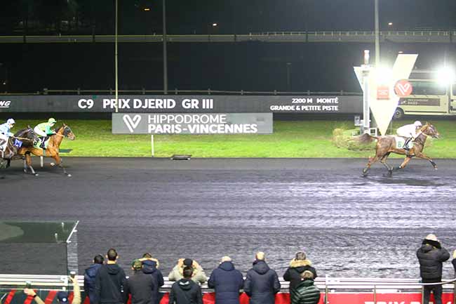 Photo d'arrivée de la course pmu PRIX DJERID à PARIS-VINCENNES le Dimanche 16 janvier 2022