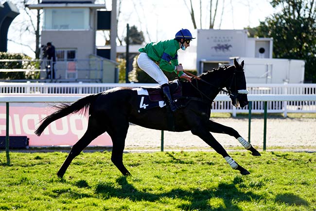 Photo d'arrivée de la course pmu PRIX EQUIDIA (PRIX AUGUSTE DE CASTELBAJAC) à PAU le Lundi 17 janvier 2022
