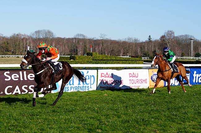 Photo d'arrivée de la course pmu PRIX PMU CAFE KENNEDY - SAINT-PALAIS (PRIX EMILE LESTORTE) à PAU le Lundi 17 janvier 2022