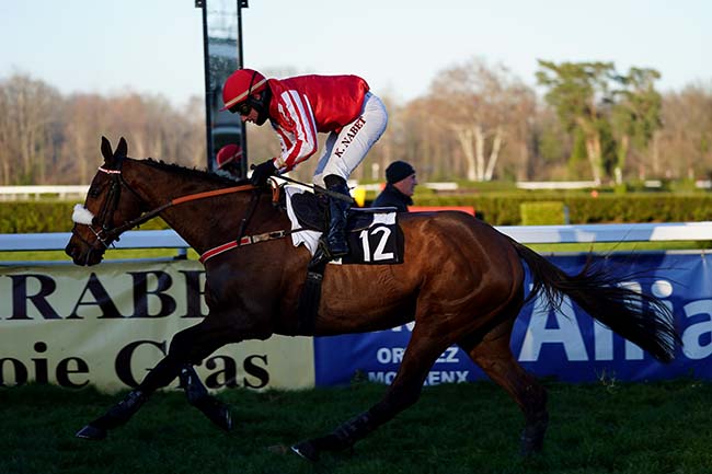 Photo d'arrivée de la course pmu PRIX EMILE LALANNE à PAU le Lundi 17 janvier 2022