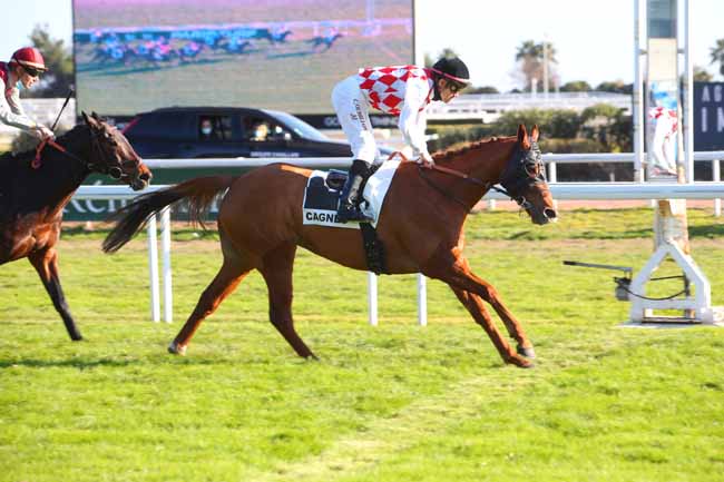 Photo d'arrivée de la course pmu PRIX JEAN-GABRIEL DOMERGUE à CAGNES-SUR-MER le Vendredi 21 janvier 2022